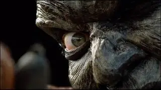 Ten Things You Didn’t Know About Jeepers Creepers