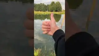 Я люблю рыбалка #shorts #рыбалка #рыба