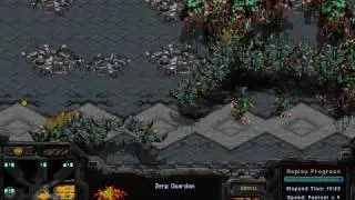 Starcraft FMP Compilation #1