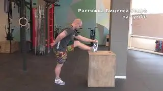 Растяжка бицепса бедра на тумбе (SuppleFit)