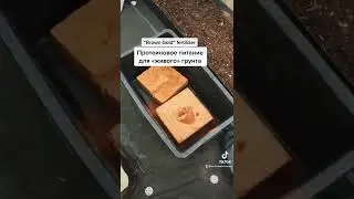 Питание для «живой» земли. Protein feeding of an alive soil