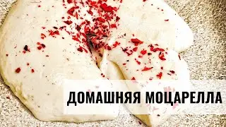 Моцарелла, всего 3 ингредиента / Домашний сыр моцарелла 