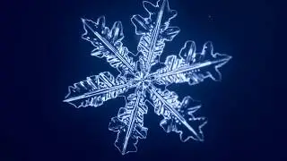 Новогодние каникулы