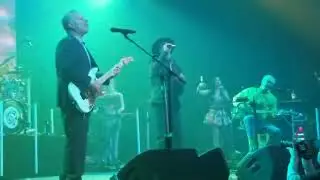 Porno For Pyros - Porpoise Head Live 2/29/24