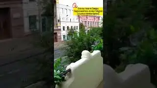 Фёдор Шаляпин в Самаре / Купеческая Самара