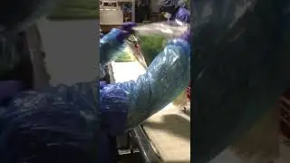 Iceless Green Onion