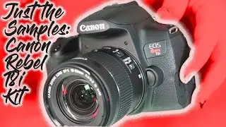 Just the Samples: Canon Rebel T8i Kit