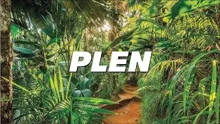ZEE - Plen