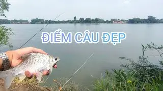 Trở lại điểm câu bụi tre nước trong xanh đẹp cá ăn mạnh #fishing