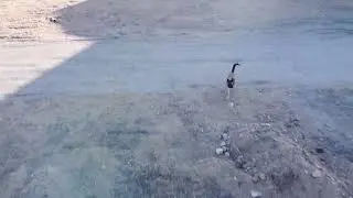 Doge Drone Strike
