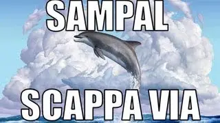 SAMPAL DELFINO-EROE: SI LIBERA E RITROVA IL SUO BRANCO