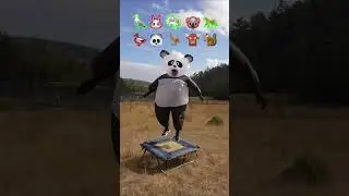 If animals did Parkour 😂 Part 4