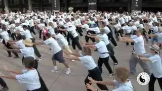 Taoist Tai Chi Awareness Day 2009, Part 1