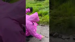 Камчатка! Что за мох!