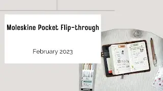 Moleskine Pocket Daily Planner Flip Through - February 2023 + New Cover 