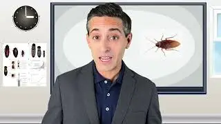 On-Camera, Hosting Reel
