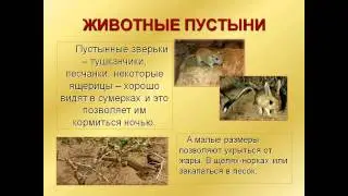 Зона пустынь
