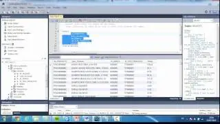 Consultas Básicas  MySQL WorkBench