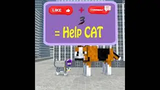 The Dog Vs The Cat | When You Have To Be The Coolest 👍️