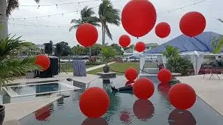 Jumbo Pool Balloon Decorating in Palm Beach, Florida, Helium Gas Delivery Kite Fishing 561.385.2047 
