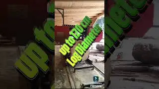 AUTOMATIC SAWMILL with CLASSIC RAILS