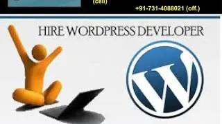 Hire Dedicated Wordpress Developers