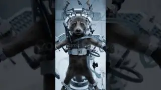 Rocket ka Dard Dekh Ro Doge 😭😭 