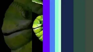 fun facts #trending #viral #youtubeshorts