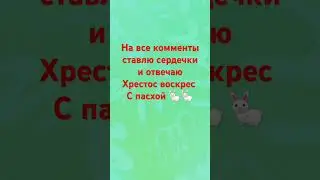 ПАСХА!!!! #cat #котокуб #пасха