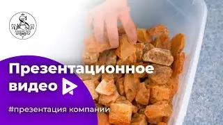 Презентационное видео для компании Amber Sea