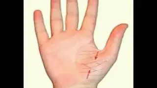 С Серебряков   Хиромантия линии Солнца и Луны
