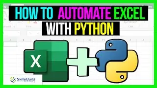 🔥 How To Automate Excel with Python Using OpenPyXL