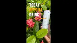 Celebrating 710 Day with Curaleaf's The Hemp Company 🎉