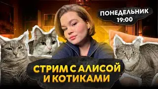 РАЗГОВОРЫ О НЕВАЖНОМ - Разговорный стрим с Алисой