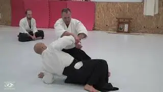 Aikido: Stephane Goffin Budapest 2023