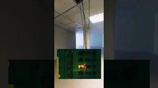 Что будет если животное попадёт в закулисье?