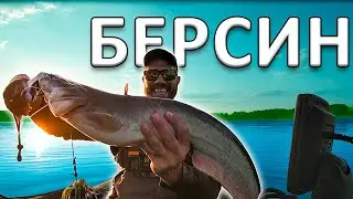СОМОВЕ НА БЕРСИН. КЛЬОНК РИБОЛОВ