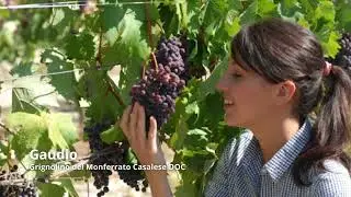 Vertdevin Magazine - Who will be at the Paris Wine Selection 2024 ?