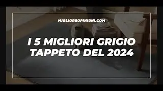 I 5 Migliori Grigio Tappeto Del 2024