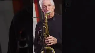 The Yellowjackets 