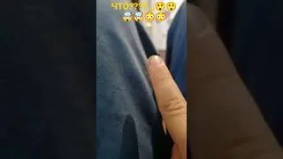 ЧТО???