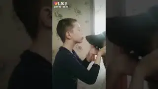 Дети и собаки