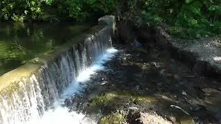 Горбуша у водозабора, просто мимо проходил. август 2024 г.