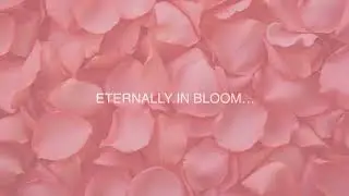 Eternally in Bloom… Coming Soon