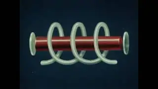 Лазеры (Леннаучфильм)