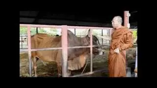 ชีวิตนี้น้อยนัก - ท่านเจ้าคุณสุนทรธรรมภาณ - (พระอาจารย์สมชาติ ธัมมโชโต)