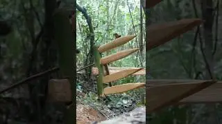 make spear bamboo trap for catching civet in forest
