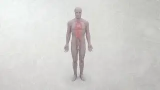 Техника выполнения коронарографии