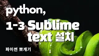 파이썬 뽀개기 ~ 1-3 sublime text 설치  