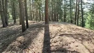 Дорога на озеро Чидоново